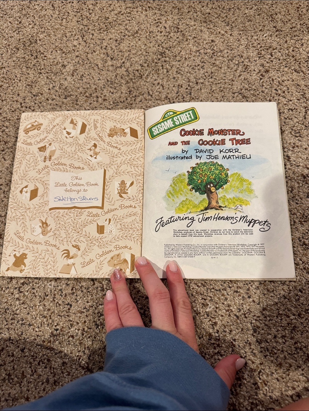 Sesame Street Cookie Monster and Cookie Tree Book - Blue, Green, Brown - Picture 2 of 7